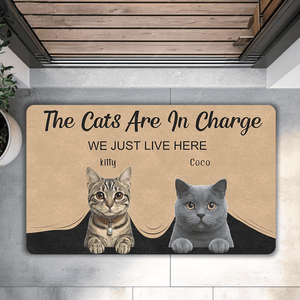 custom cat doormat