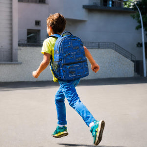 car backpack