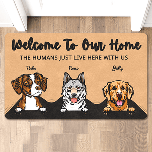 custom dog doormat