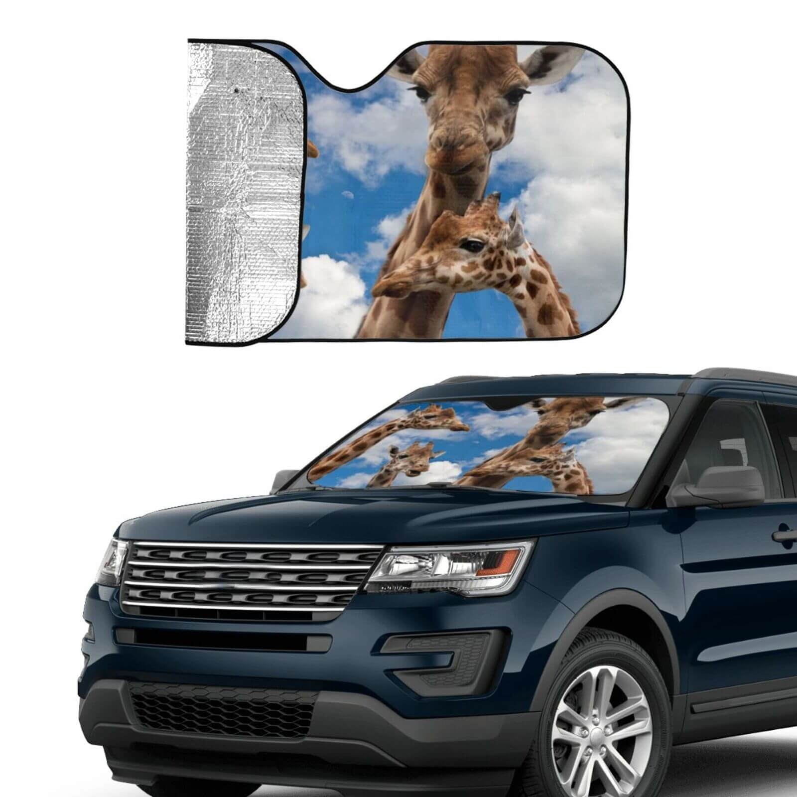 Custom Car Sunshade