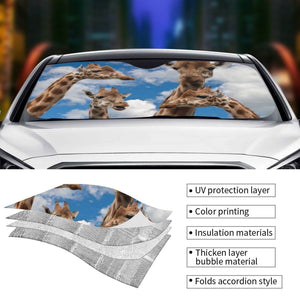 Custom Car Sunshade