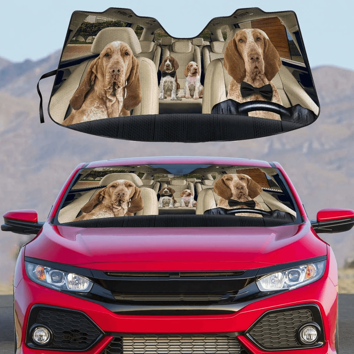 Custom Car Sunshade