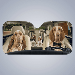 Custom Car Sunshade