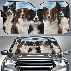 Custom Car Sunshade