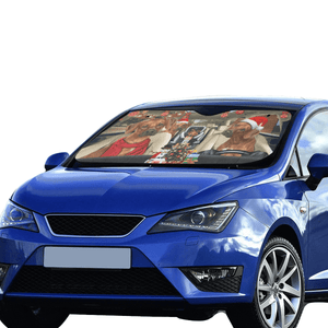 Custom Car Sunshade