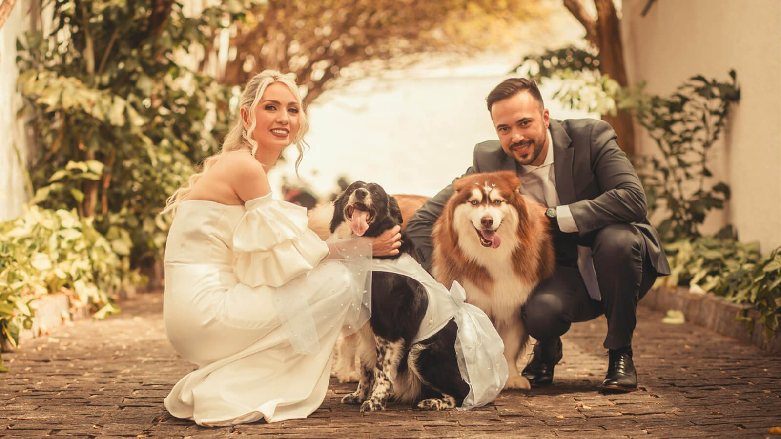 Can Your Dog Be Part of Your Wedding? Here’s How to Do It Beautifully