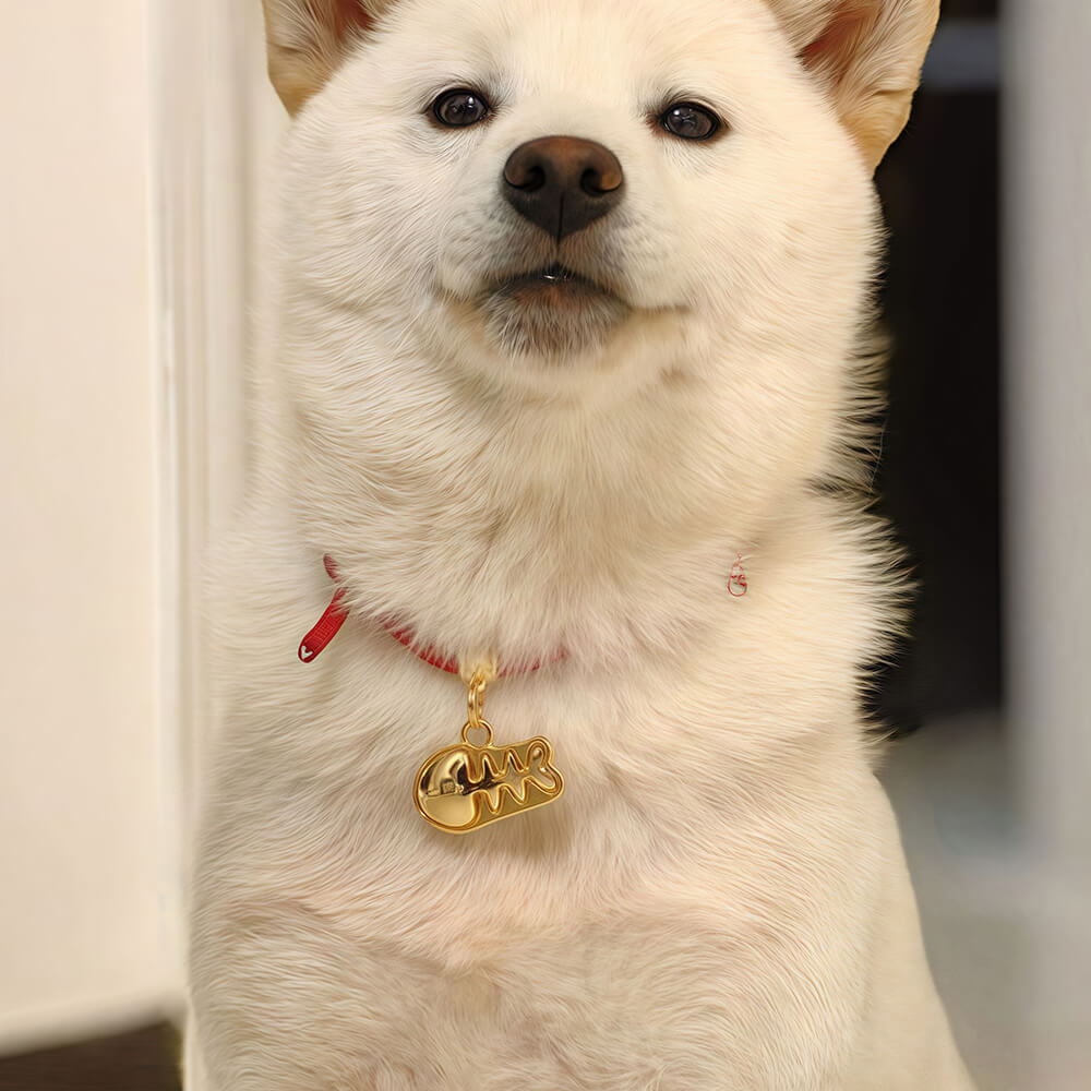 Personalised Dog Tag