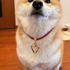 Triangle Engraved Pet ID Tag