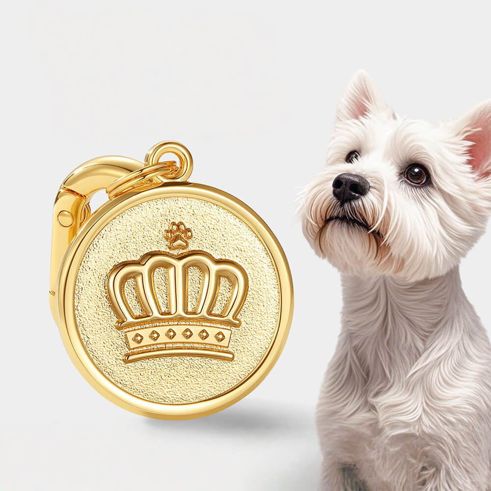 Crown Engraved Pet ID Tag