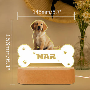 Custom Pet Night Light