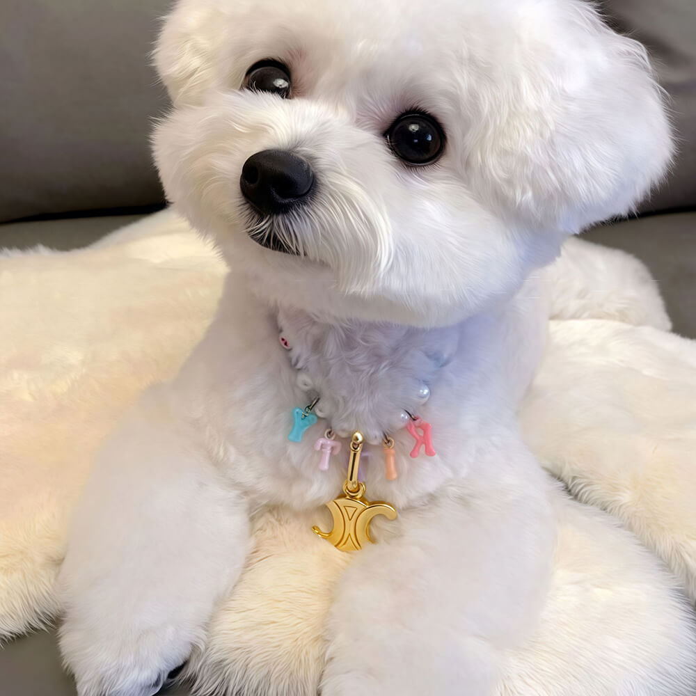 Custom Dog Tag with Name