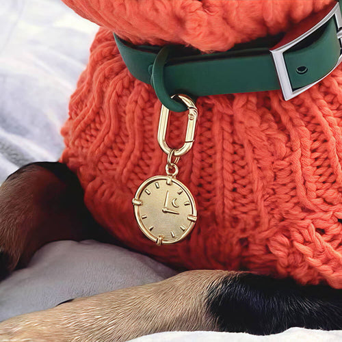 Clock Engraved Pet ID Tag