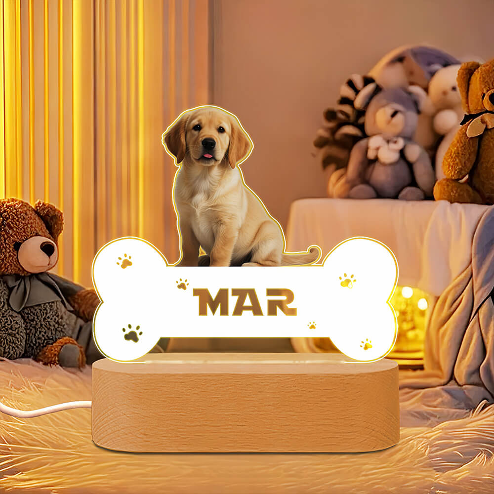 Custom Pet Night Light