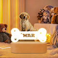 Custom Pet Night Light
