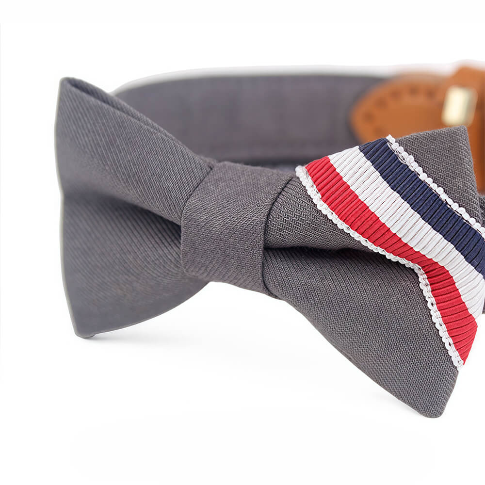Preppy Bow Tie Collar with Nameplate