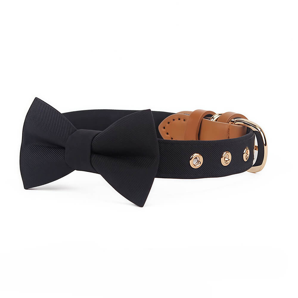 Classic Bow Tie Collar with Nameplate