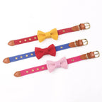 Contrast Bow Tie Collar with Nameplate