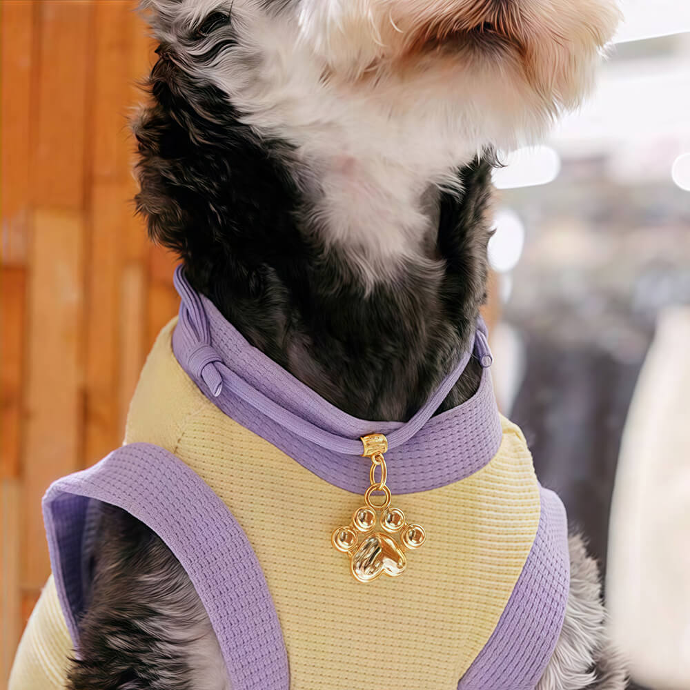 Personalised Dog Tag