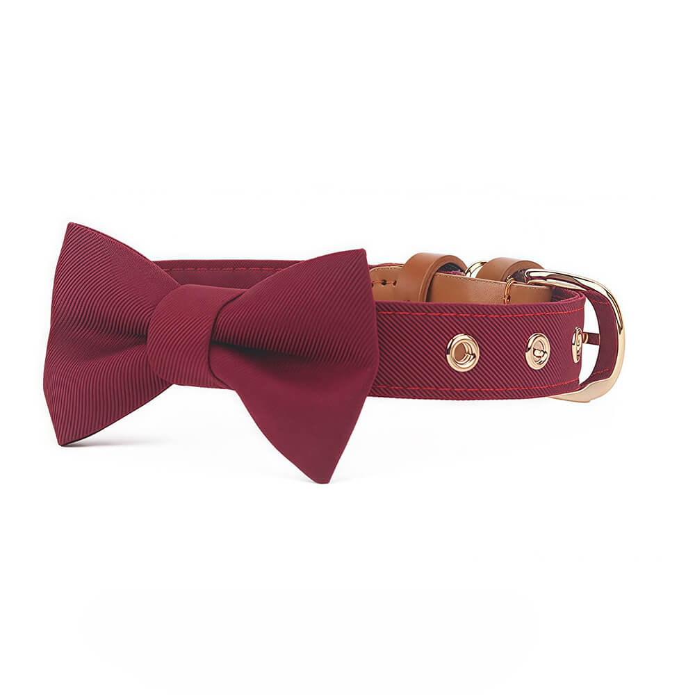Classic Bow Tie Collar with Nameplate