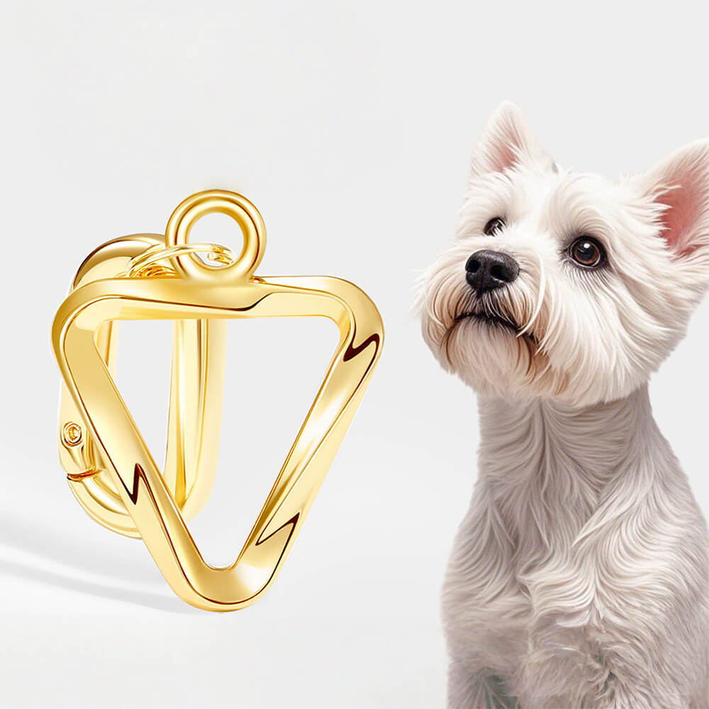 Triangle Engraved Pet ID Tag