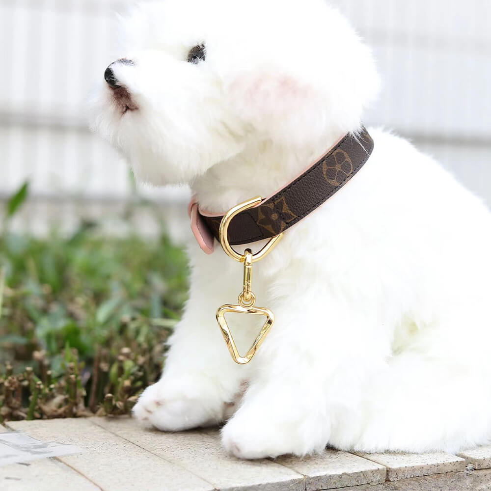 Triangle Engraved Pet ID Tag