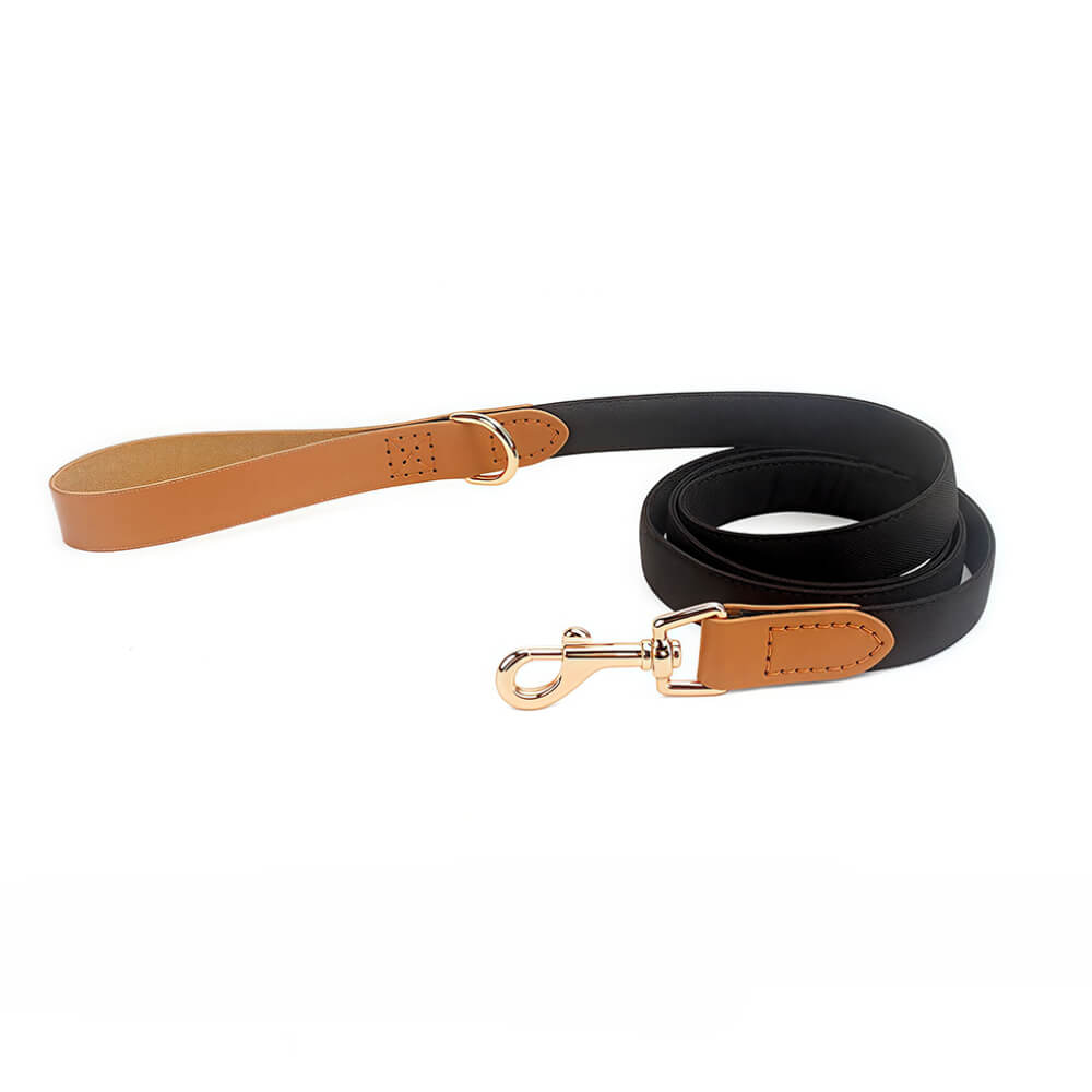 Classic Bow Tie Collar with Nameplate
