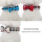 Plaid Bow Tie Collar with Nameplate