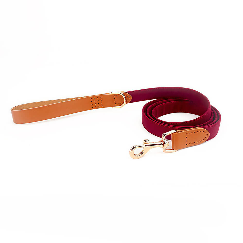 Classic Bow Tie Collar with Nameplate