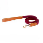 Classic Bow Tie Collar with Nameplate