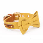 Layered Bow Tie Collar with Nameplate