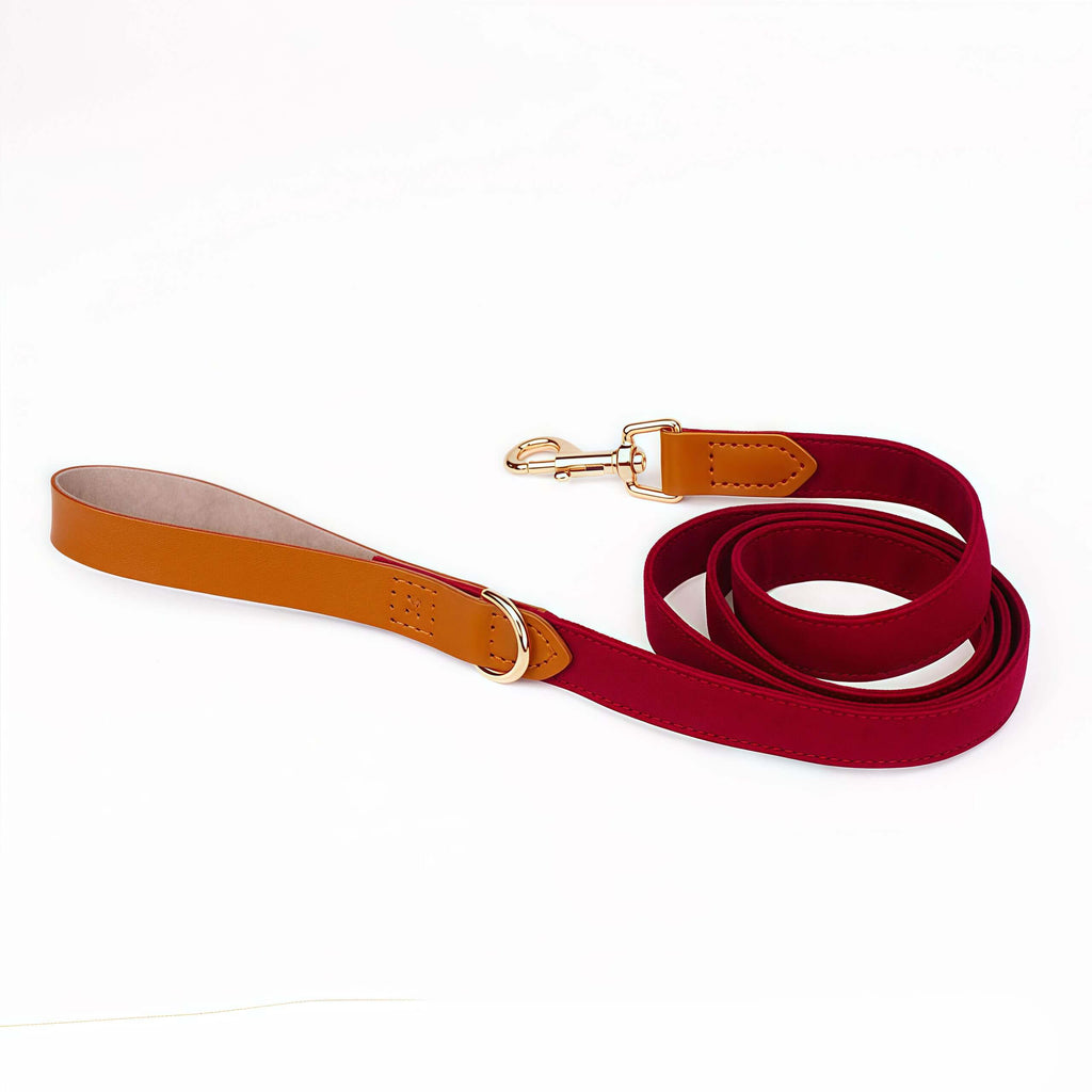 Layered Bow Tie Collar with Nameplate