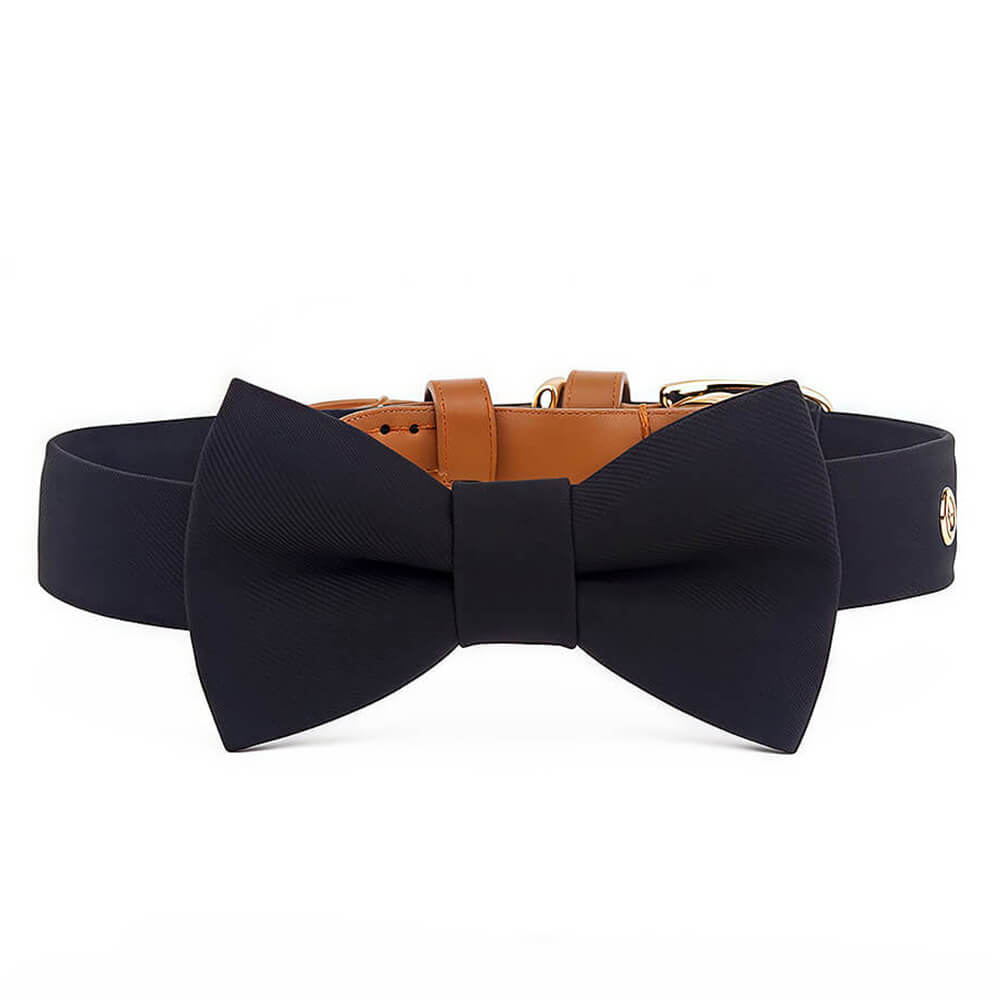 Classic Bow Tie Collar with Nameplate