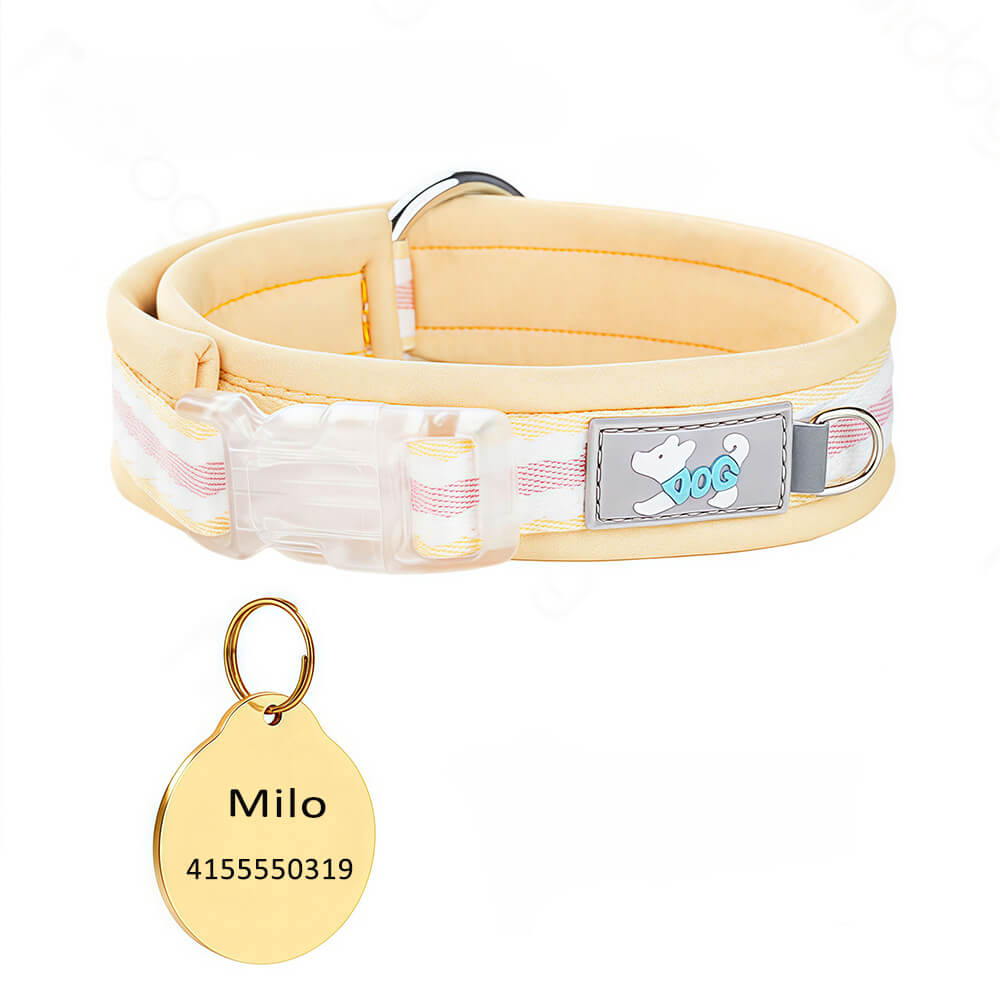 Clear Buckle Name Dog Collar