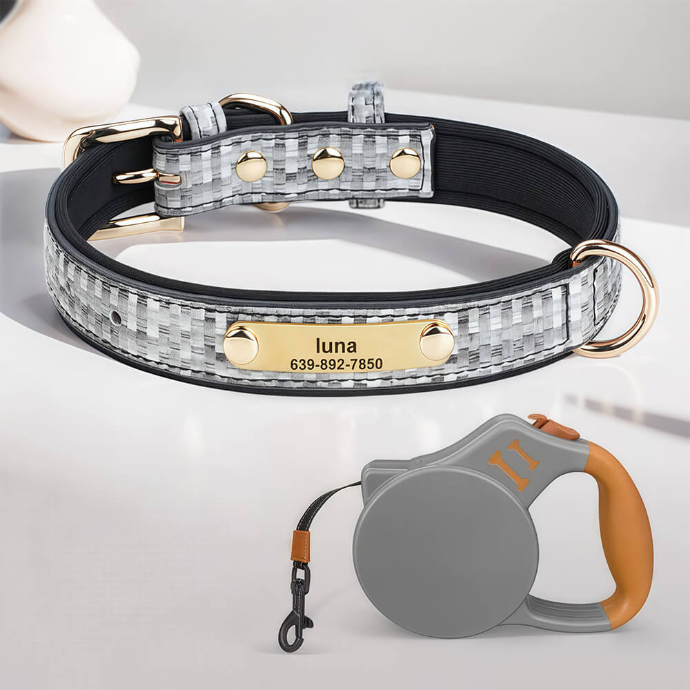 Elegant Woven Name Dog Collar
