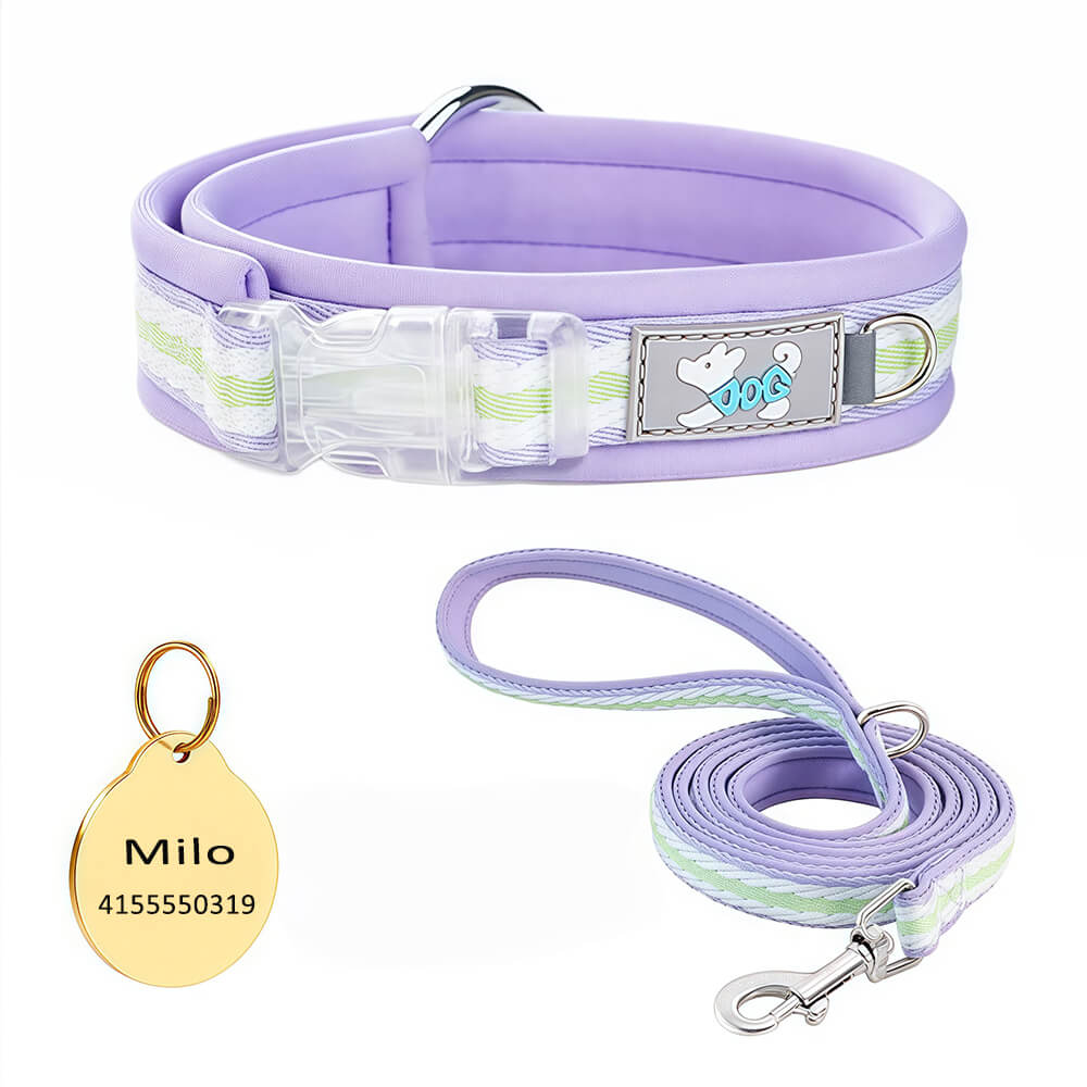 Clear Buckle Name Dog Collar