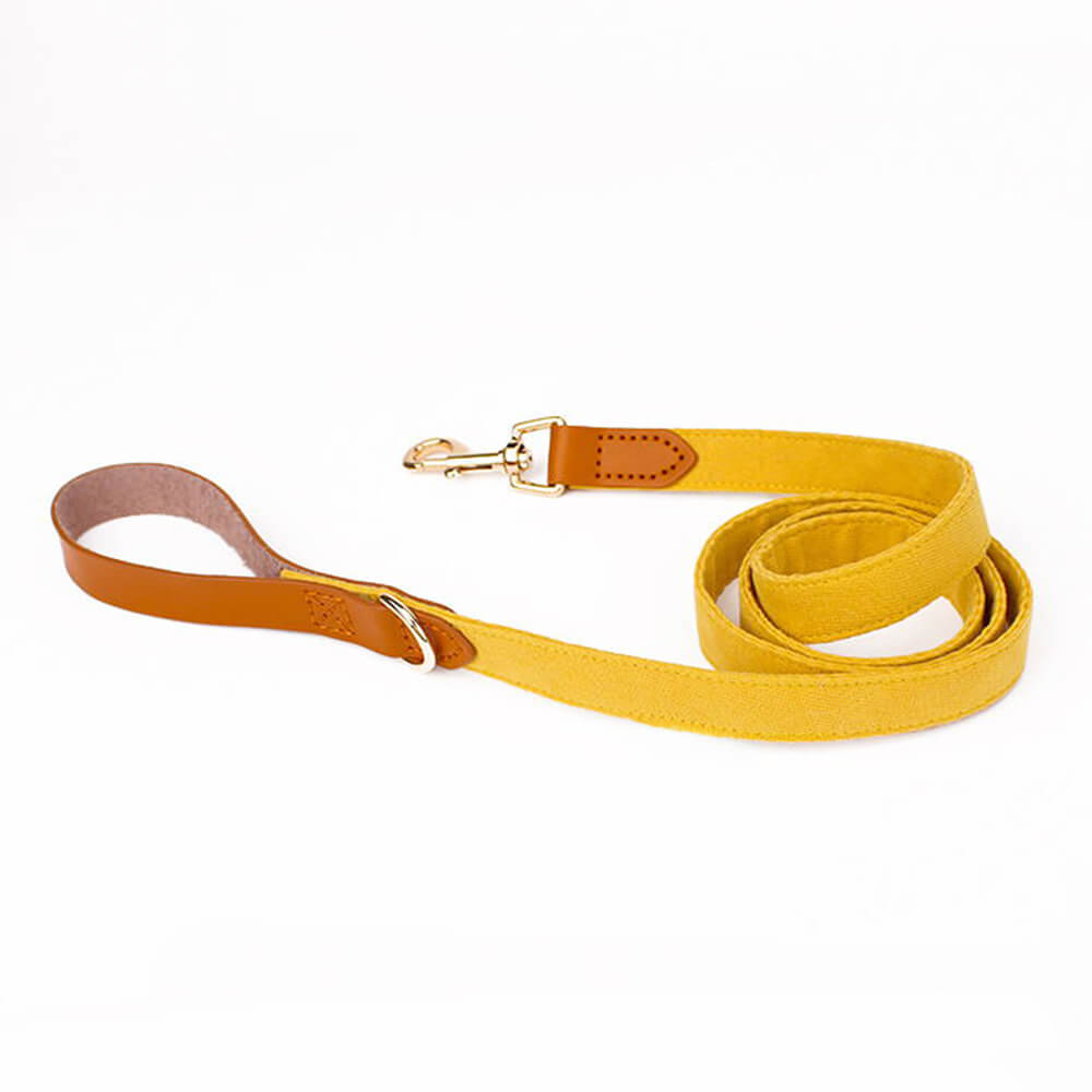Layered Bow Tie Collar with Nameplate
