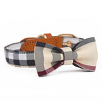 Plaid Bow Tie Collar with Nameplate