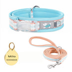 Clear Buckle Name Dog Collar