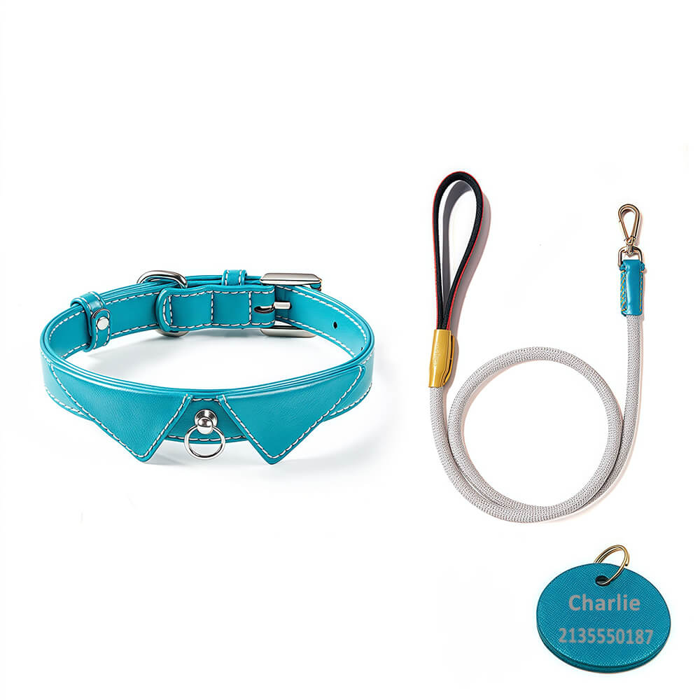 Shirt Collar Dog Collar with Name