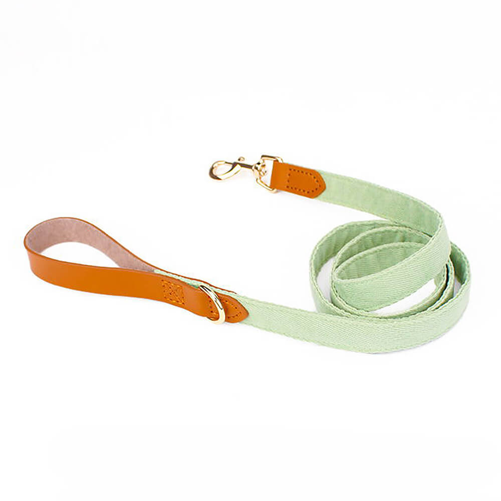 Layered Bow Tie Collar with Nameplate