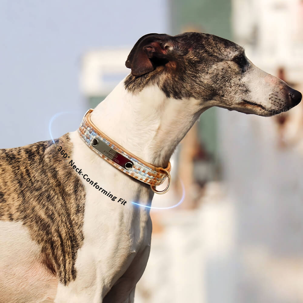 Elegant Woven Name Dog Collar