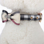 Plaid Bow Tie Collar with Nameplate