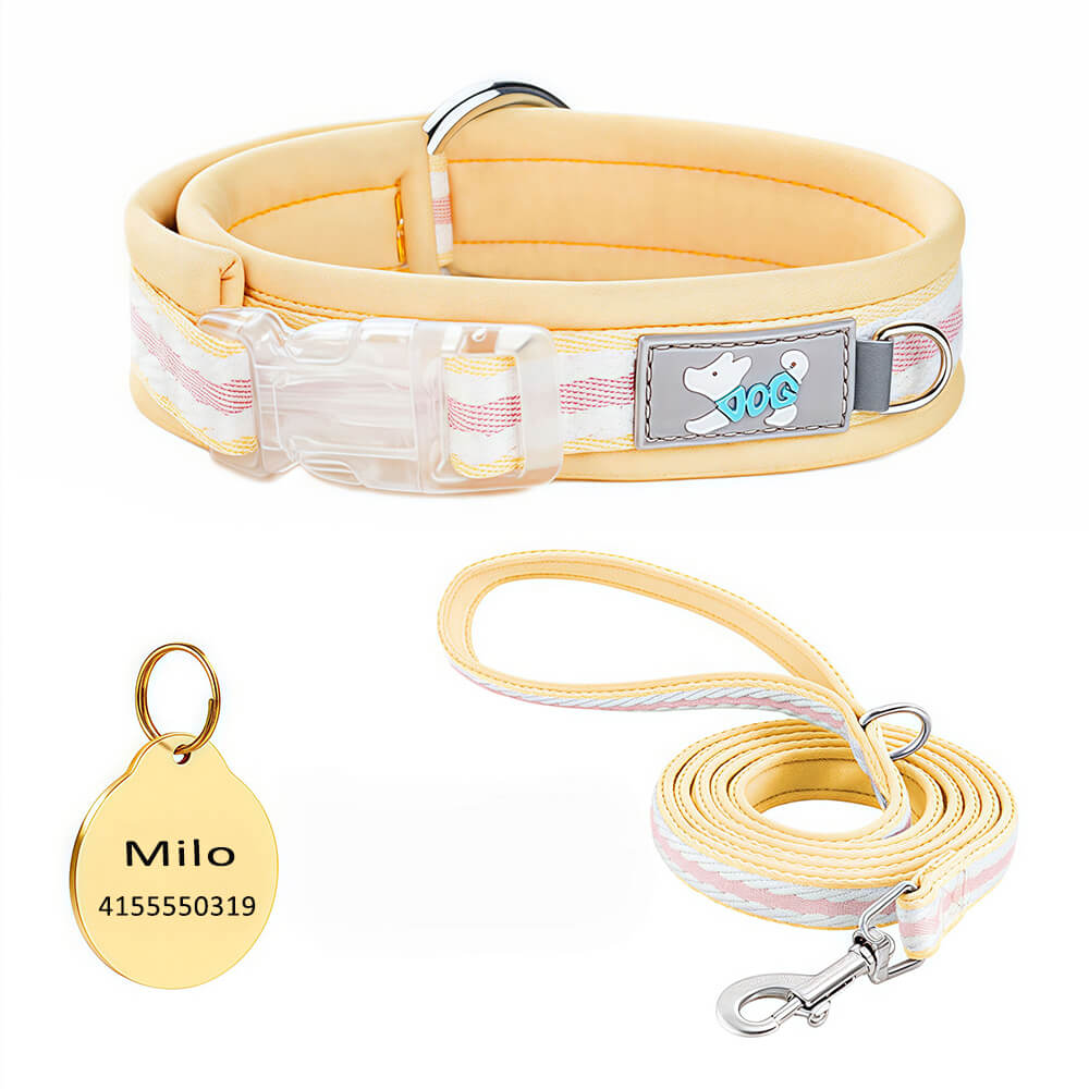 Clear Buckle Name Dog Collar