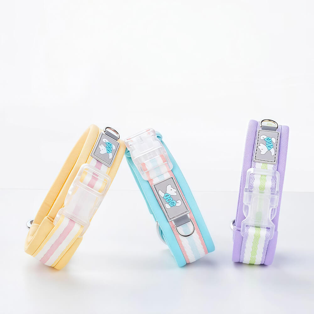Clear Buckle Name Dog Collar