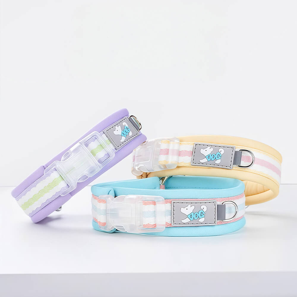 Clear Buckle Name Dog Collar