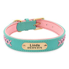 Colorblock Name Dog Collar
