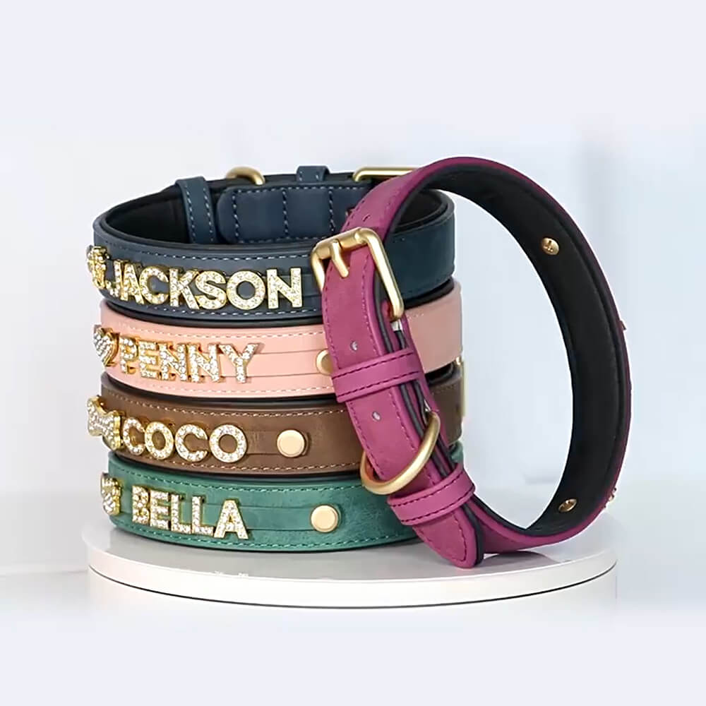 Rhinestone Name Dog Collar