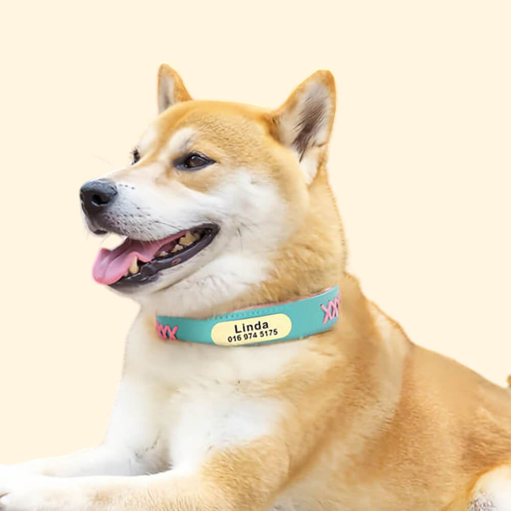 Colorblock Name Dog Collar