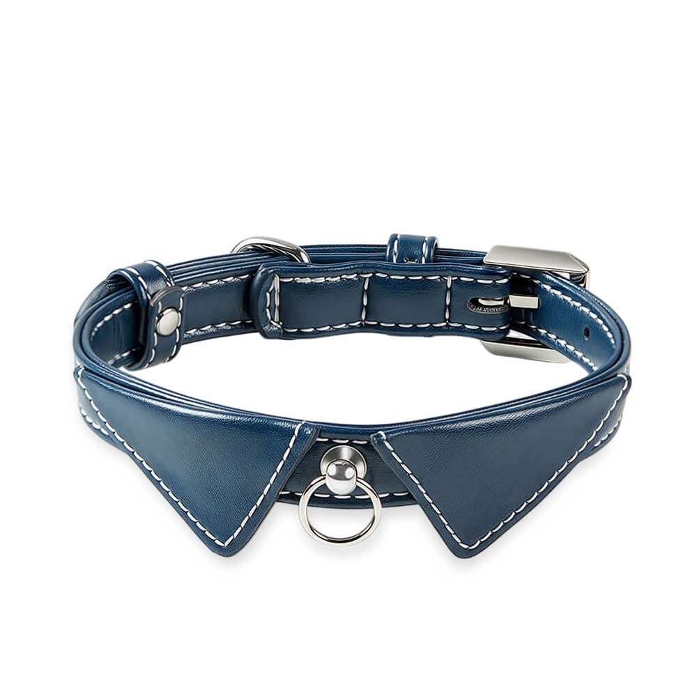 Shirt Collar Dog Collar with Name