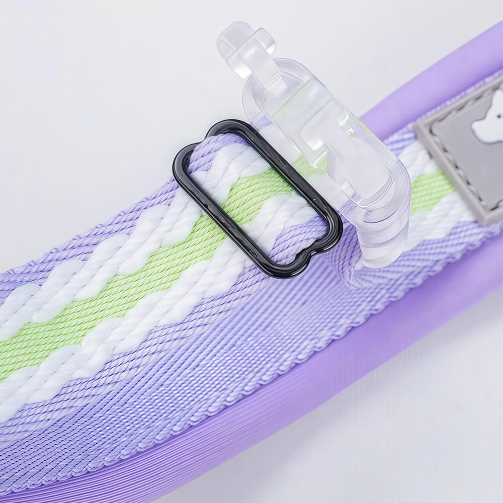 Clear Buckle Name Dog Collar